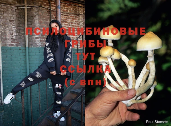 кокаин Лабытнанги
