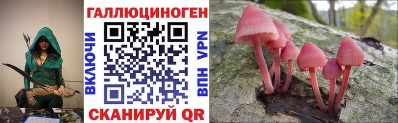 гидра ТОР  Арзамас  Галлюциногенные грибы мицелий 