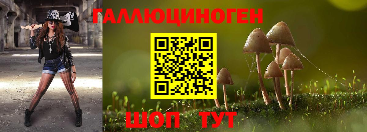 Галлюциногенные грибы MAGIC MUSHROOMS  Вход с VPN  Галлюциногенные грибы мухоморы  Арзамас 