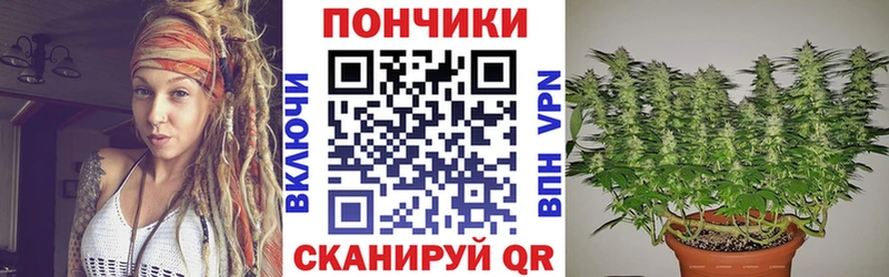 наркотики  Арзамас  Канабис индика 